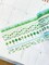 Green Trees Leaves & Grass Spring Succulents Eucalyptus & Botanicals Washi Tape Set (#W054)